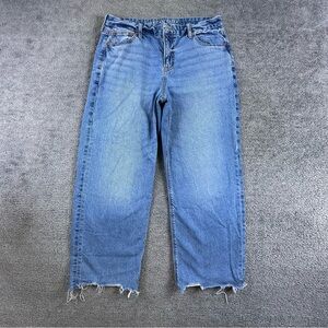 American Eagle Jeans Womens 10 Short Blue Curvy Stovepipe Hi Rise Baggy Wide Leg